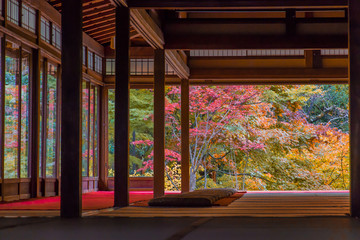 Fototapeta premium Jesienne liście Kioto