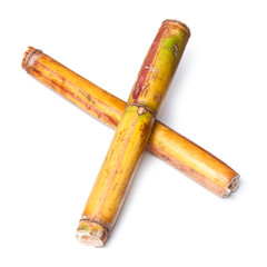 Sugarcane isolated on a white studio background.