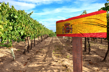 vineyard cabernet sauvignon from Spain
