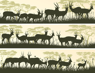 Horizontal banners of wild antelope in African savanna. - obrazy, fototapety, plakaty