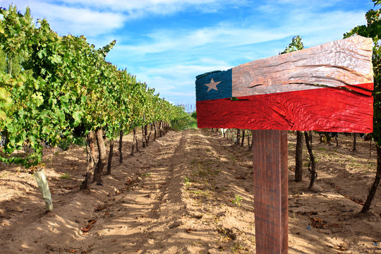 vineyard cabernet sauvignon from Chile