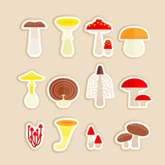 mushroom