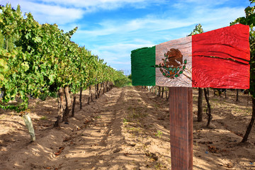 vineyard cabernet sauvignon from Mexico