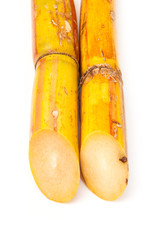 Sugar cane isolated on a white studio background.