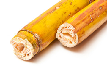 Sugarcane isolated on a white studio background.