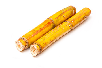 Sugarcane isolated on a white studio background.