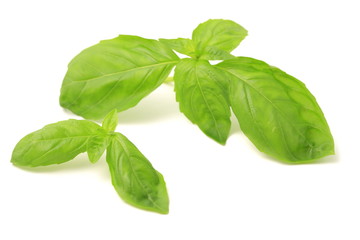 バジル