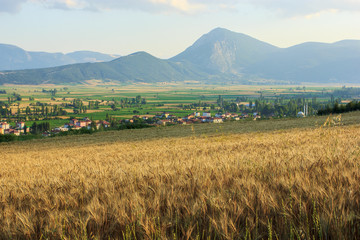 Countryside near Golpazari, Bilecik
