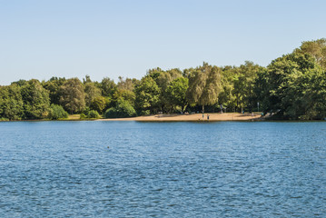 Lake in forest