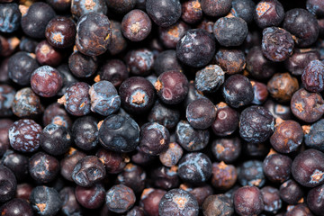 Dried Juniper Berries background image