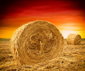 Hay bale in the countryside