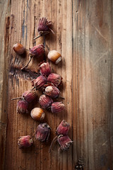 Fototapeta na wymiar Fresh whole hazelnuts on a wooden surface