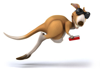 Kangaroo © Julien Tromeur