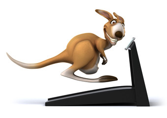 Kangaroo © Julien Tromeur