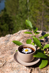 Tea with chamomile on old big stone.