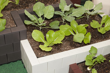 家庭菜園用のポット