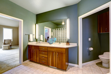 Bathroom vanity cabinet with mirror