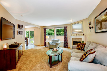 Living room with fireplace and TV