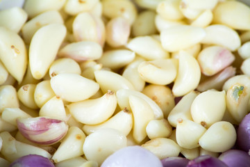 garlic 