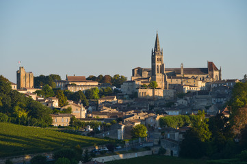 Fototapeta premium Saint-Emilion-Vineyard landscape-Vineyard south west of France,