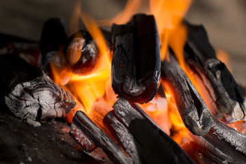 fuoco per Barbecue - obrazy, fototapety, plakaty