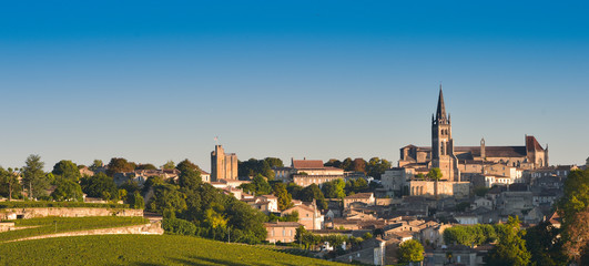 Saint-Emilion-Vineyard landscape-Vineyard south west of France,