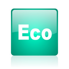 eco internet icon