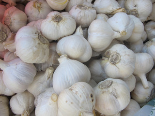 Background with the image of garlic