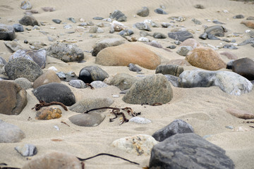 Fototapeta na wymiar Beach in south west norway