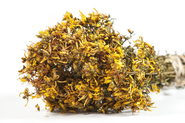 hypericum perforatum