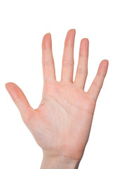 Isolated female hand showing number five