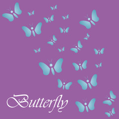 butterflies