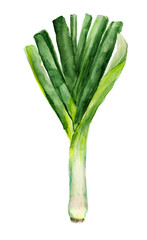 Green leek