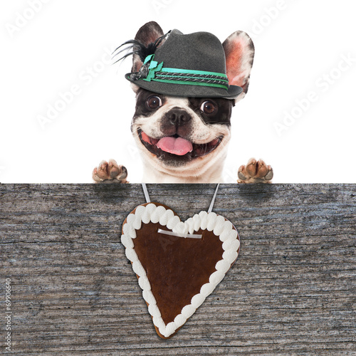"Hund mit Tirolerhut und Lebkuchenherz" Stockfotos und lizenzfreie