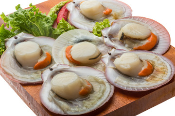 Raw fresh scallop