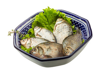 Crucian fish
