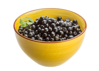 Blueberry