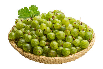 Gooseberry