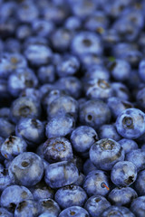 Tasty ripe blueberries, close up