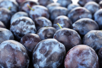 Ripe sweet plums, close up