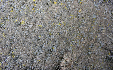 Rough gray rock background texture