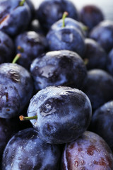 Ripe sweet plums, close up