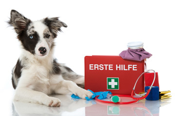 Erste Hilfe