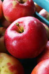 Fototapeta na wymiar Juicy apples in box, close-up