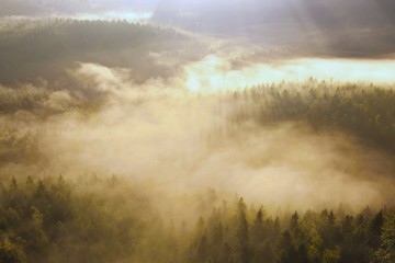 Sunrays in autumn mist. Deep valley is full of  colorful fog