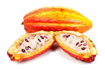 Cocoa
