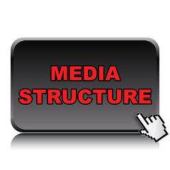 MEDIA STRUCTURE ICON
