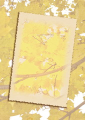 Stylized autumn background with frame for text