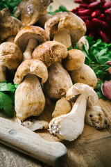 Porcini mushrooms