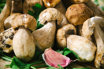 Porcini mushrooms